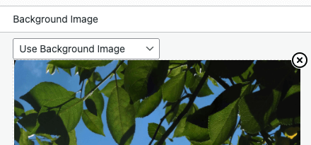 Social Post Flow: WordPress Plugin: Settings: Text to Image: Remove Background Image