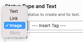 Social Post Flow: WordPress Plugin: Status: Image Type