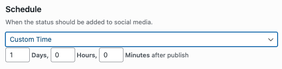 Social Post Flow: WordPress Plugin: Status Configuration: Custom Time